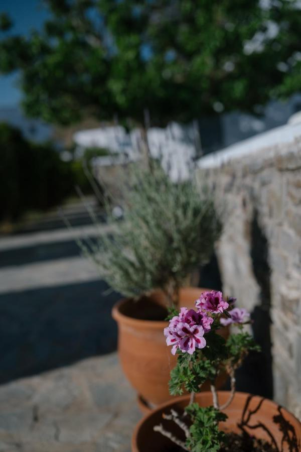 Indigo Studios Livadi  Dış mekan fotoğraf